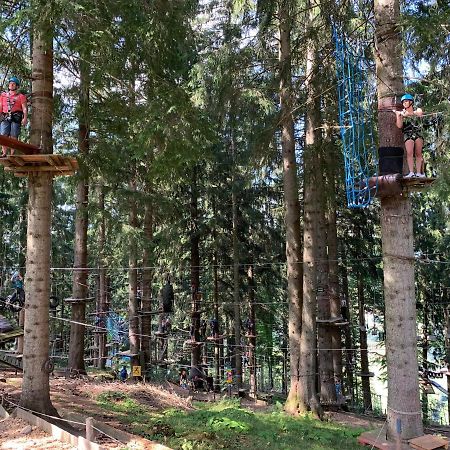 Fewo Alpenwiese Mit Hallenbad&Sauna 미센 윌햄스 외부 사진