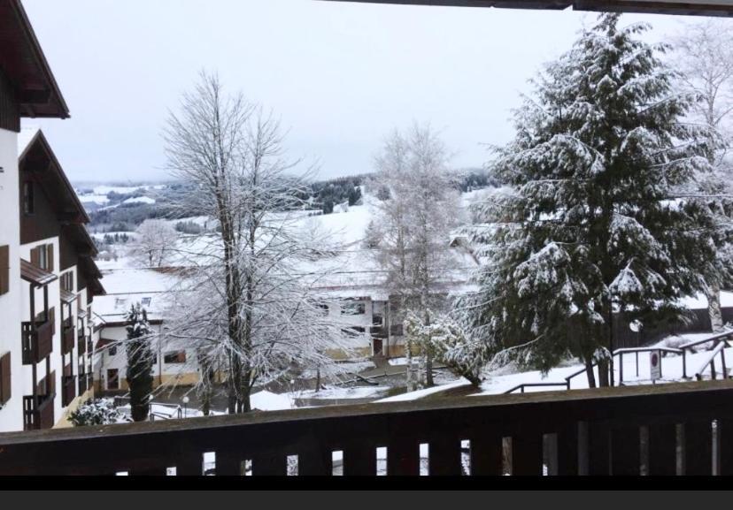 Fewo Alpenwiese Mit Hallenbad&Sauna 미센 윌햄스 외부 사진