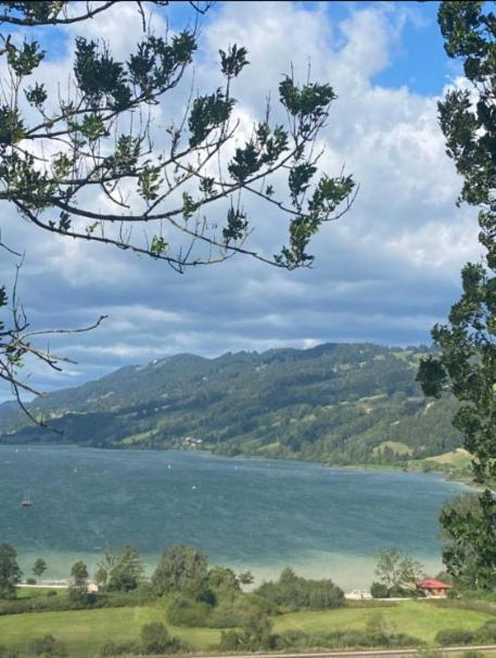 Fewo Alpenwiese Mit Hallenbad&Sauna 미센 윌햄스 외부 사진