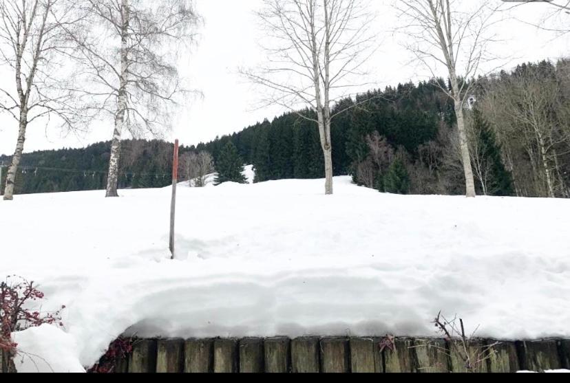 Fewo Alpenwiese Mit Hallenbad&Sauna 미센 윌햄스 외부 사진