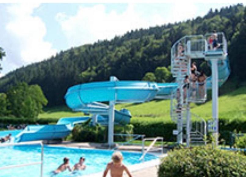 Fewo Alpenwiese Mit Hallenbad&Sauna 미센 윌햄스 외부 사진
