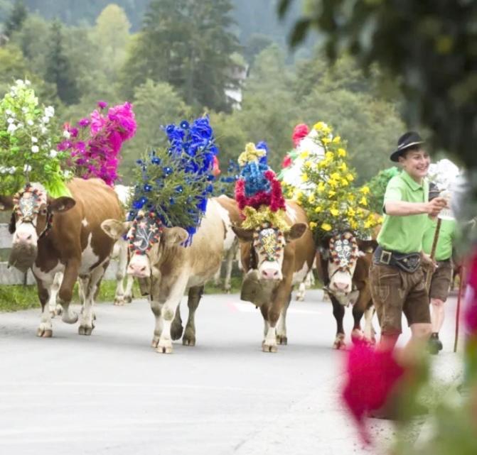 Fewo Alpenwiese Mit Hallenbad&Sauna 미센 윌햄스 외부 사진