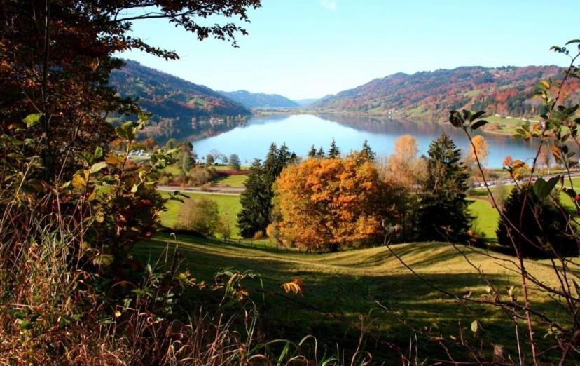 Fewo Alpenwiese Mit Hallenbad&Sauna 미센 윌햄스 외부 사진