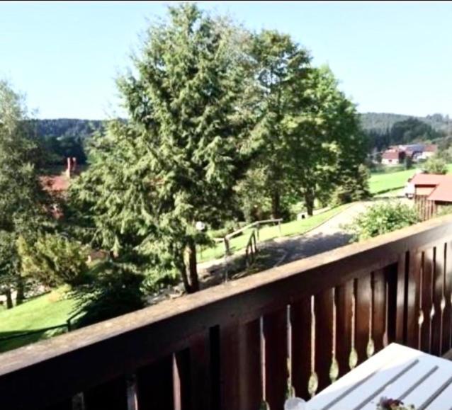 Fewo Alpenwiese Mit Hallenbad&Sauna 미센 윌햄스 외부 사진